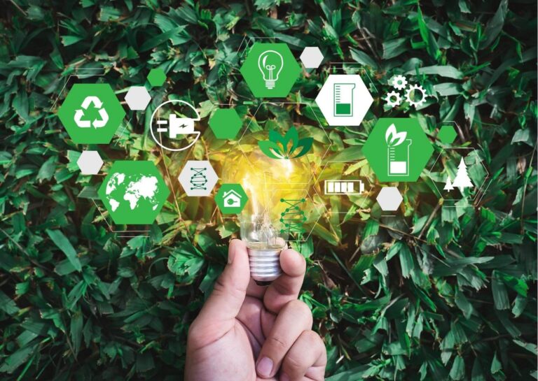 Sustainable Hospitality Overview: A Professional Strategy Guide